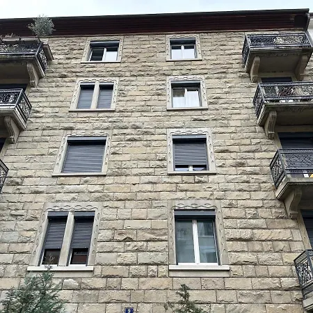 Lion Bb Swiss Apartment Zurich Exterior photo