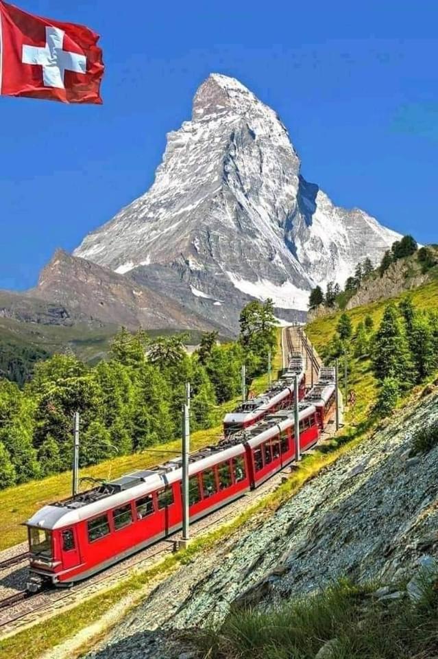 Lion Bb Swiss * Zúrich